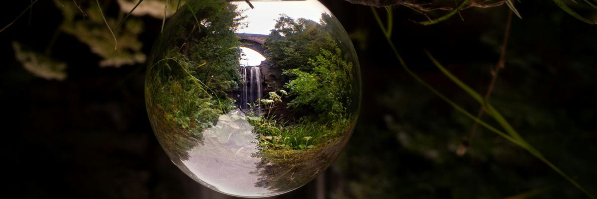 Serene forest landscape representing clarity and natural visual peace